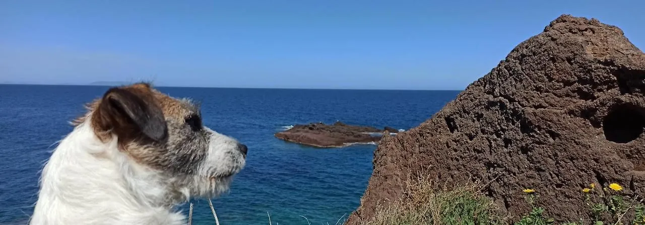Appartamento Gioiellino Sardo Castelsardo 0*,